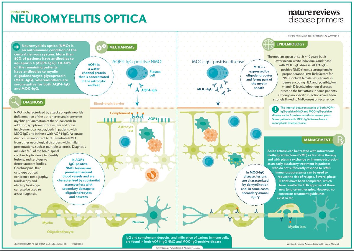 This PrimeView highlights the mechanisms of #neuromyelitis #optica, an #autoimmune disorder of the central nervous system go.nature.com/31wHCoY