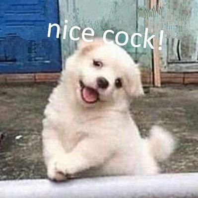 what if you paid for a dick rating from an onlyfans girl and she sent u this and nothing else https://t.co/wPI5PpuPSM