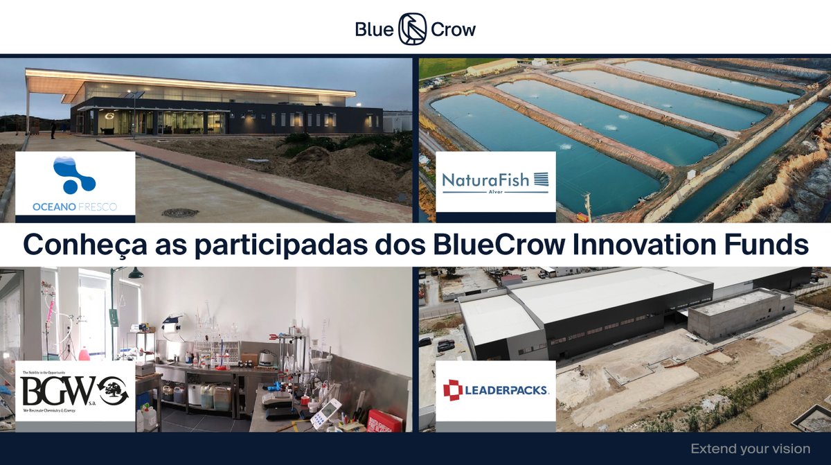 BlueCrow Capital tweet media