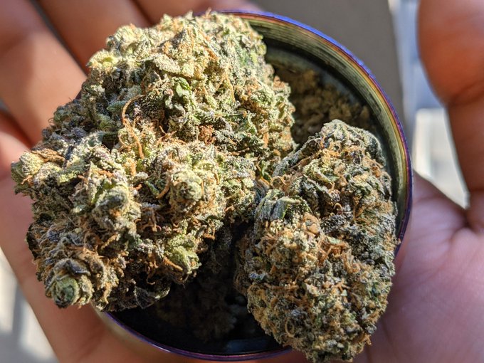 Watch rai's leaked NSFW photo on TwXstars