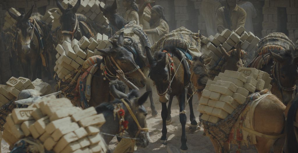 BrookeUSAorg's tweet photo. When the people suffer, so do the equines—through the Power of ONE we are able to help. Learn more at https://t.co/pX4TVuTTVt. #BrookeUSA #PowerofONE #HiddenIndustry #India #Development #COVID19 #WorkingEquines https://t.co/0KLM8DwGdK