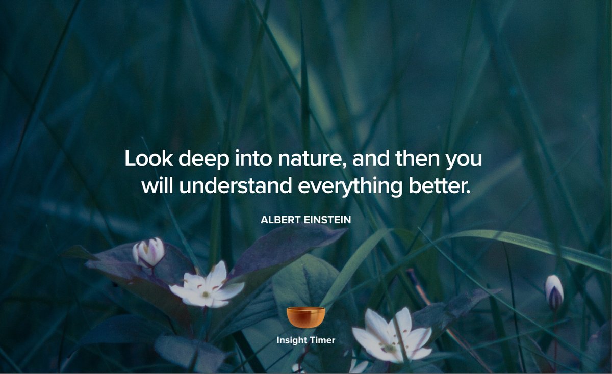 InsightTimer's tweet photo. Look #deep into #nature, and then you will understand everything better. #alberteinstein
#midnfulness #meditation #wellness #wellness #growth #mentalhealth https://t.co/wCjq0nqEAh