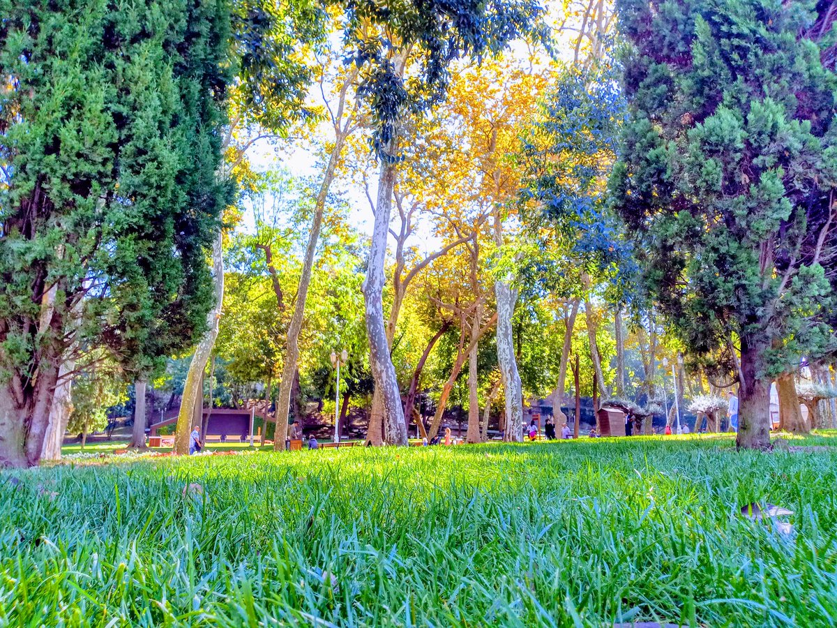 #Fotoğraf
Biraz parıltı