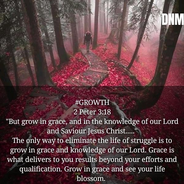 sola_olarewaju's tweet photo. #growth
#growingrace
#spiritualgrowth
#grace
#knowledgeofJesus
#revelationknowledge https://t.co/PRNyUcVRxl