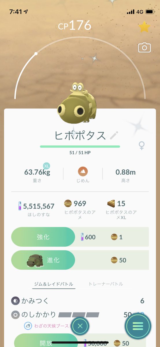 ヒポポタス色違い Twitter Search