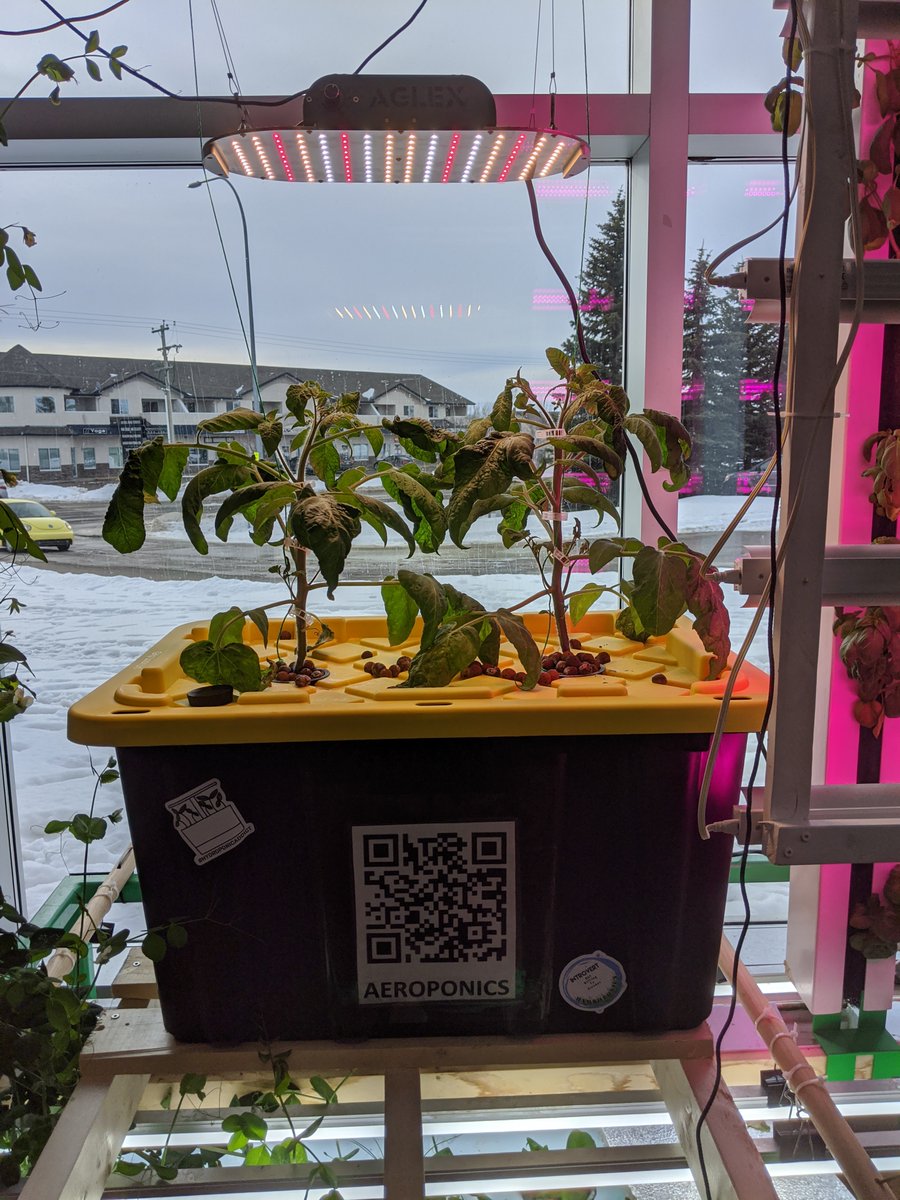 StrathmoreHighSchool tweet media