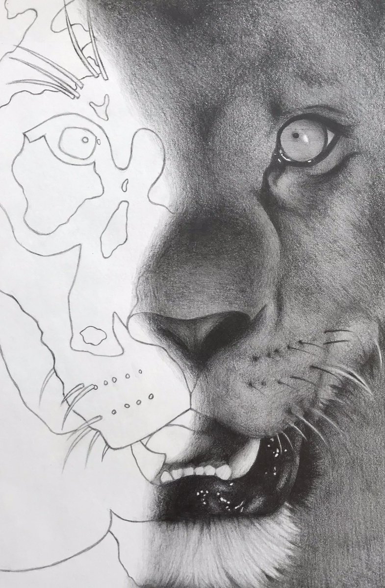 Keith Opstad tweet media