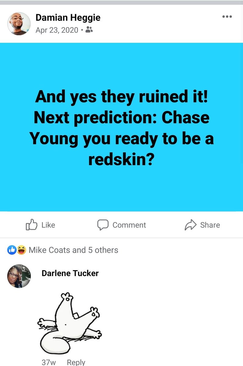 DameyDame🥋 tweet media