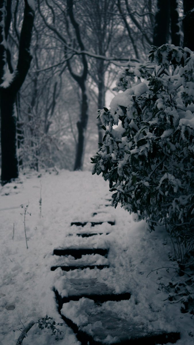 confitz_'s tweet photo. ❄️❄️❄️ https://t.co/Us3ZAbk0UB