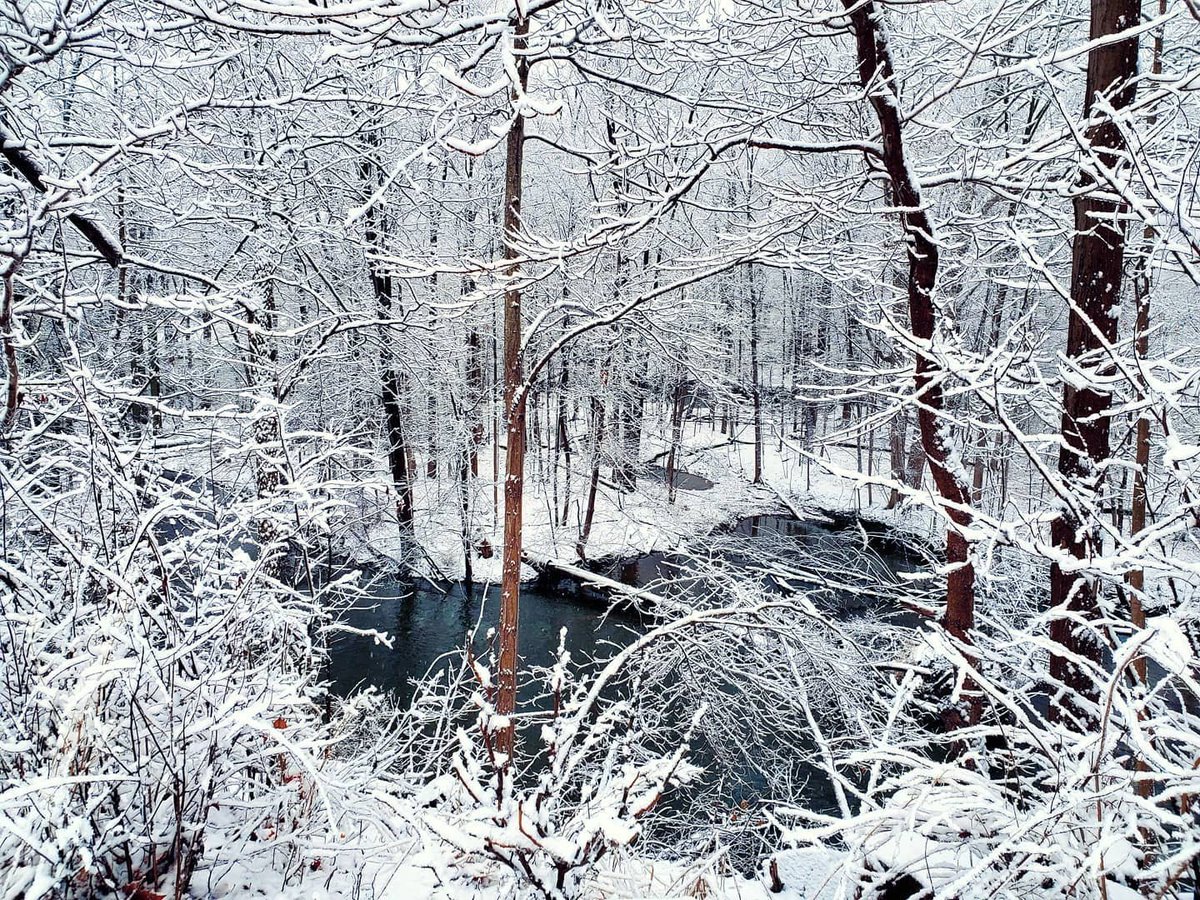PureMichigan's tweet photo. "To appreciate the beauty of a snowflake, one must stand out in the cold." - Aristotle 

📸: Instagram fan scalfy #PureMichigan #ClintonMichigan https://t.co/7R1XikewVL