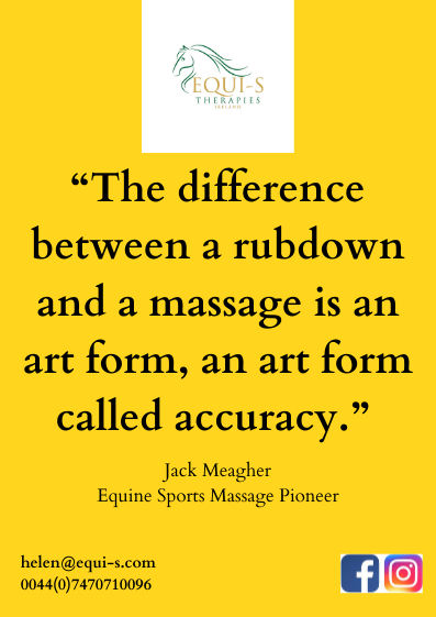 DrSharp3's tweet image. #horses #horse #equinechiro #equinephysio # equinetherapist #equinebodywork #equissage #equinemassage #horselife #instagram #equinetherapy #teamireland🇮🇪 #irishhorsesofinstagram #irishsporthorse #irishequinetherapy #equinetherapyireland #irishequinebodyworker #thisfillydoes