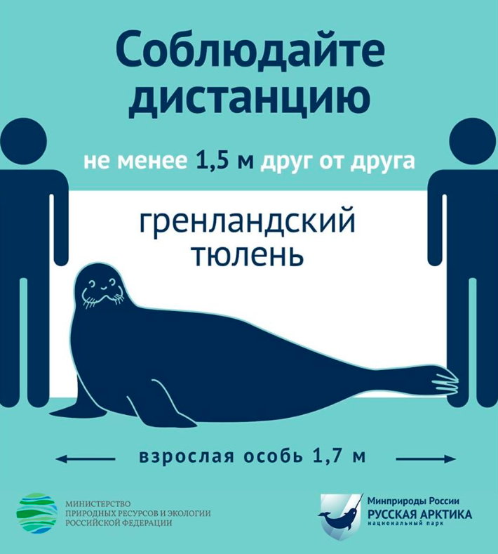 akgungor_c's tweet image. I hope to see a dedicated article about social #distancing #warning signs in the journal of #safetyscience. Not to mention, such creativity definitely deserves to be exhibited in a special collection at @MuseumModernArt. A "post-Covid" exhibition, perhaps? #COVID19