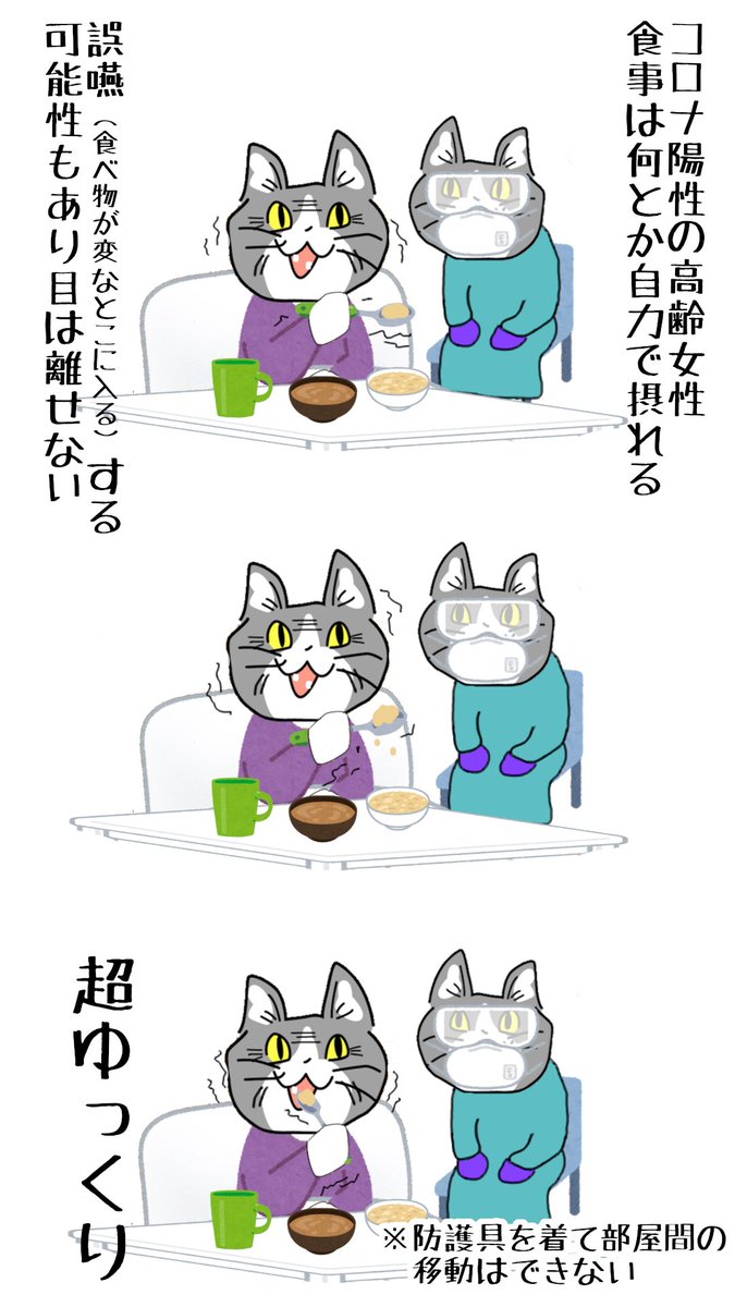 #現場猫 #看護師 
夜勤の締めにこれは意識飛ぶ。 