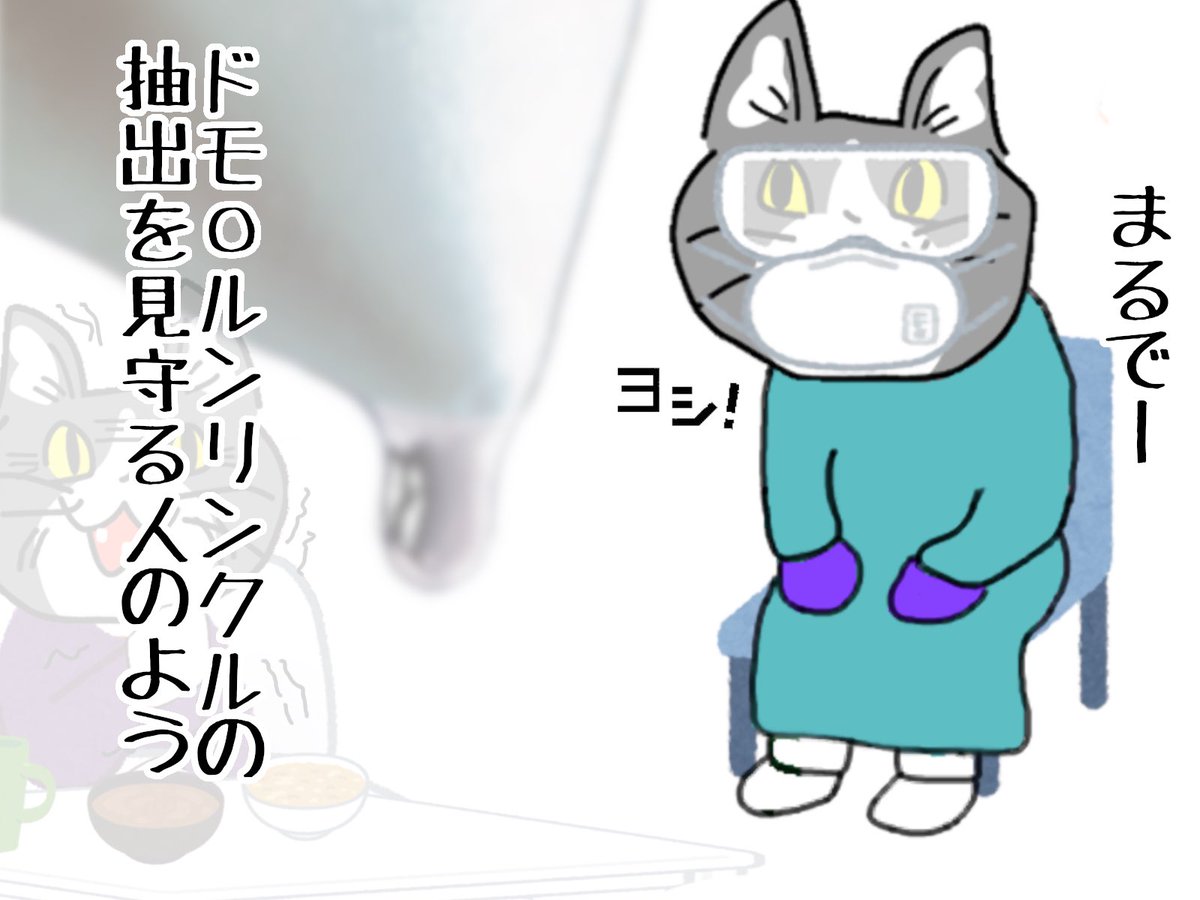 #現場猫 #看護師 
夜勤の締めにこれは意識飛ぶ。 