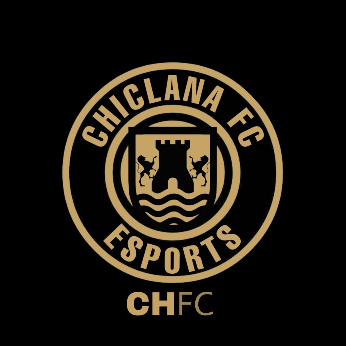 CAdeCadizFIFA's tweet photo. 🔒 Cerramos plantilla para afrontar la segunda vuelta de @VFOspain y @TopVirtuaLeague con las siguientes incorporaciones:

🔺@Samuel49059122 | Delantero
🔺@rickyborges16 | Portero
🔺@Dani_atm11 | Lateral
🔺@Jose32443141 | Lateral

#VamosChiclana #CHFC

🖤💛🖤💛🖤💛 https://t.co/rGwDeU1eI3