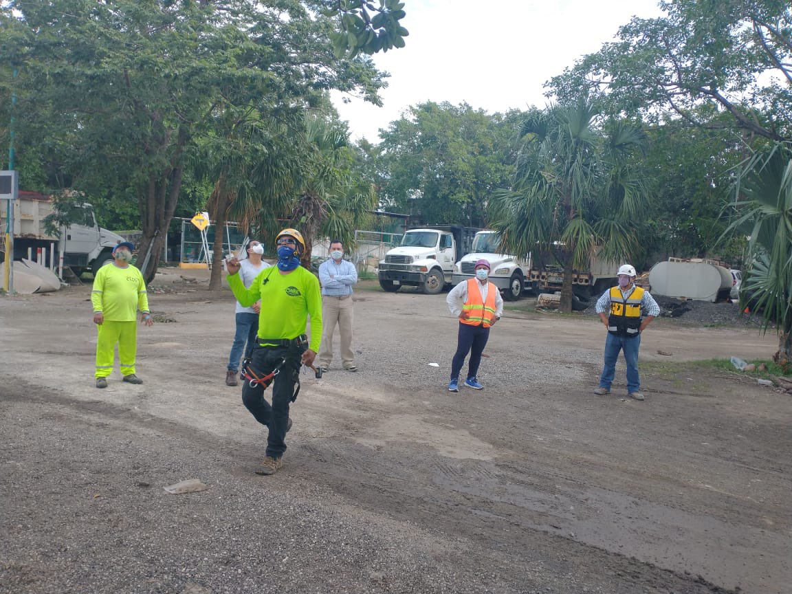 AmaSureste tweet media