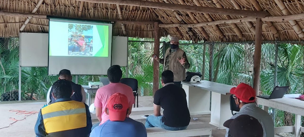 AmaSureste tweet media