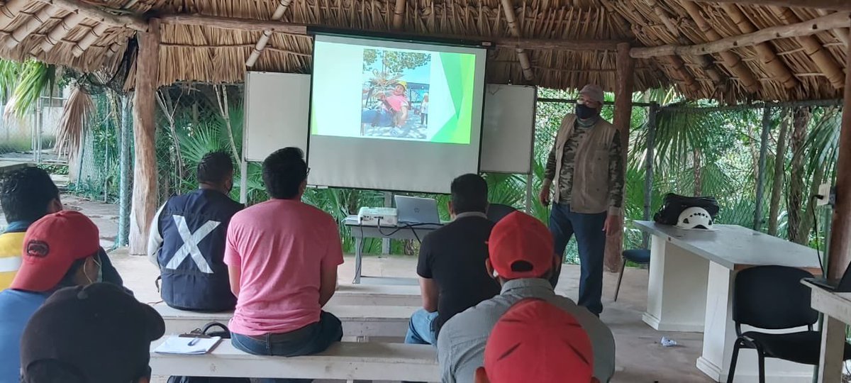 AmaSureste tweet media