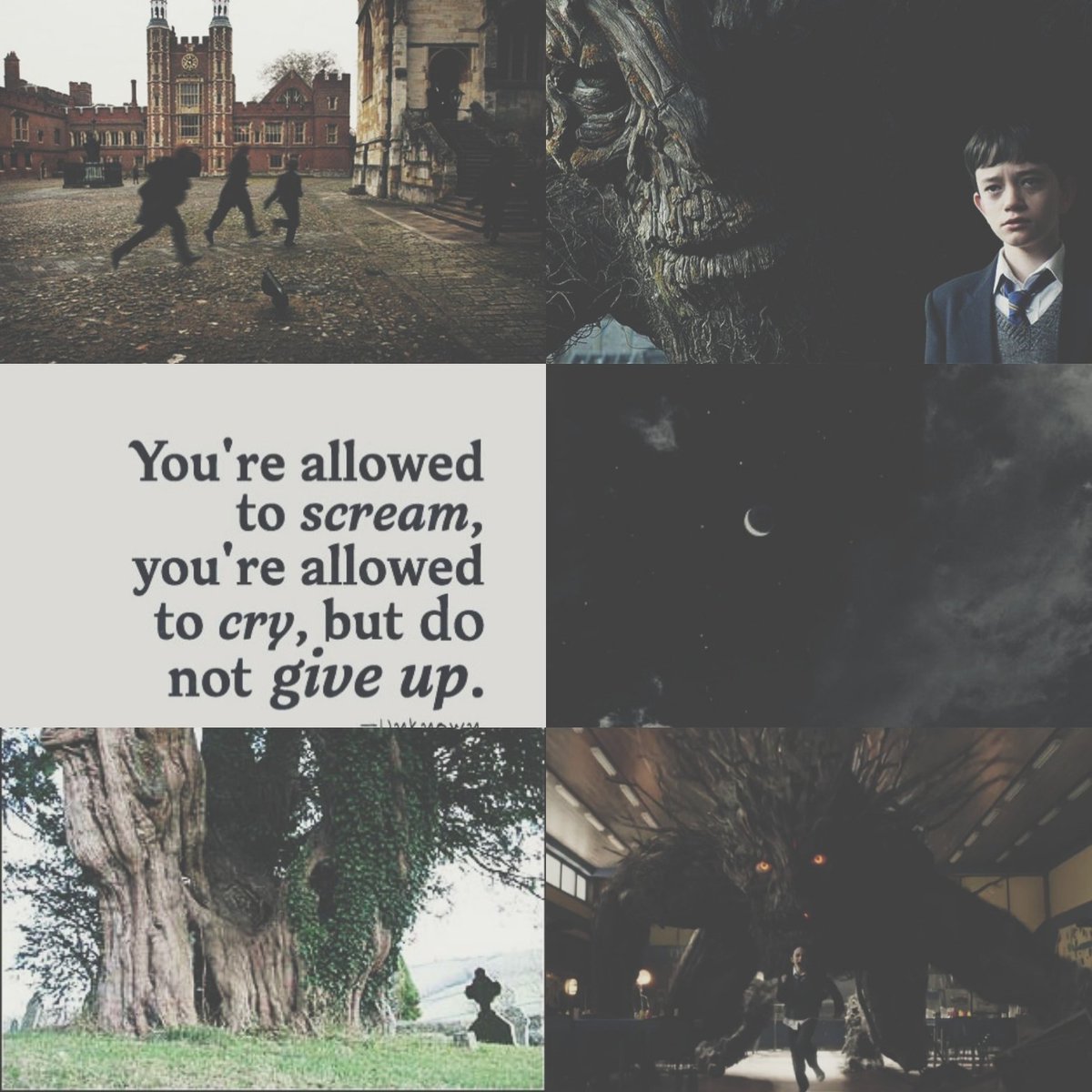 ashley25664's tweet photo. A Monster Calls by: Patrick Ness
▪Speculative YA Fiction
▪The end broke me
▪Absolutely stunning
▪5 stars https://t.co/aMc8z7Bv0u