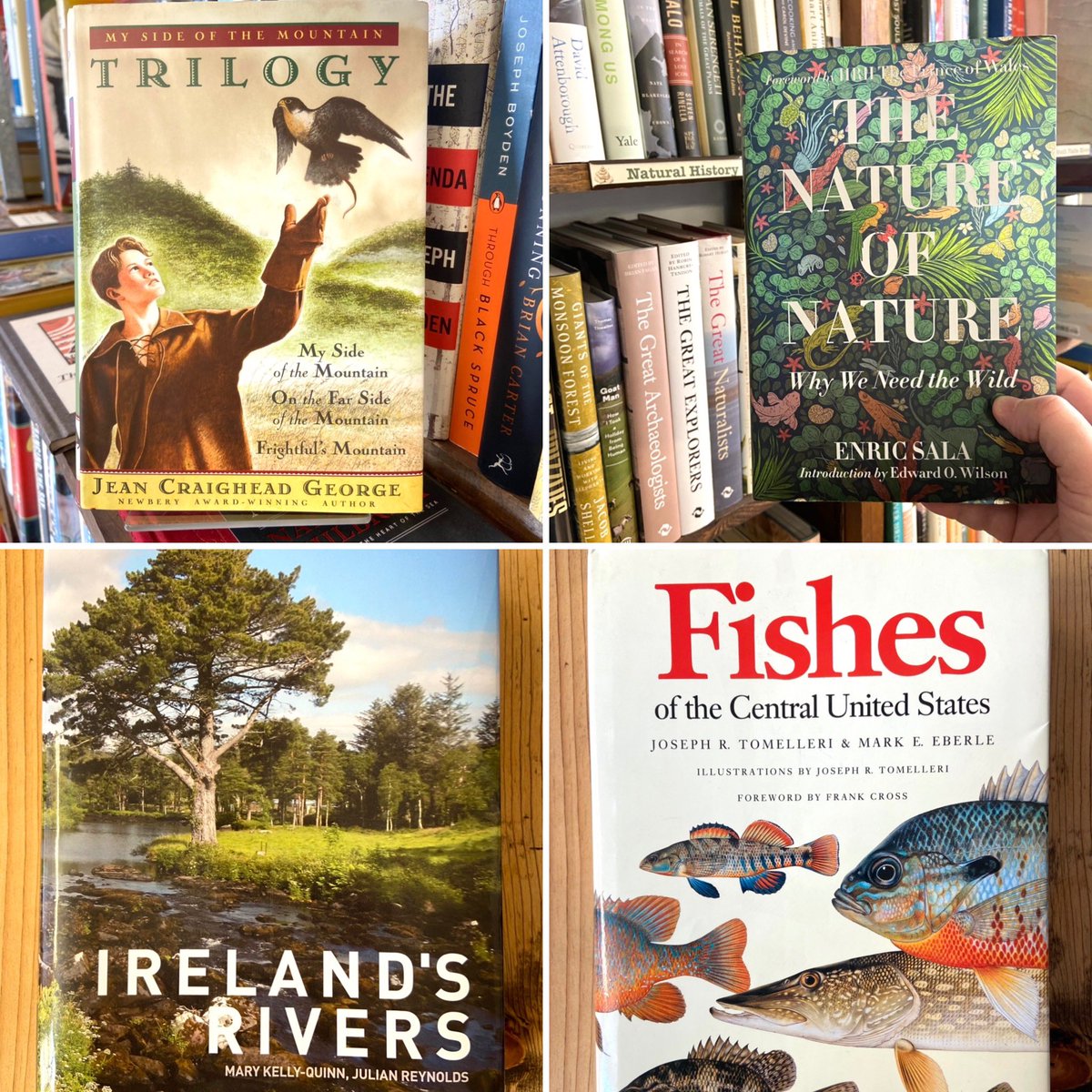 LandLibrary's tweet photo. NEW in Globeville: a fresh flurry of great books for the new year!
#LandLibrary https://t.co/sgBx1UIeQg