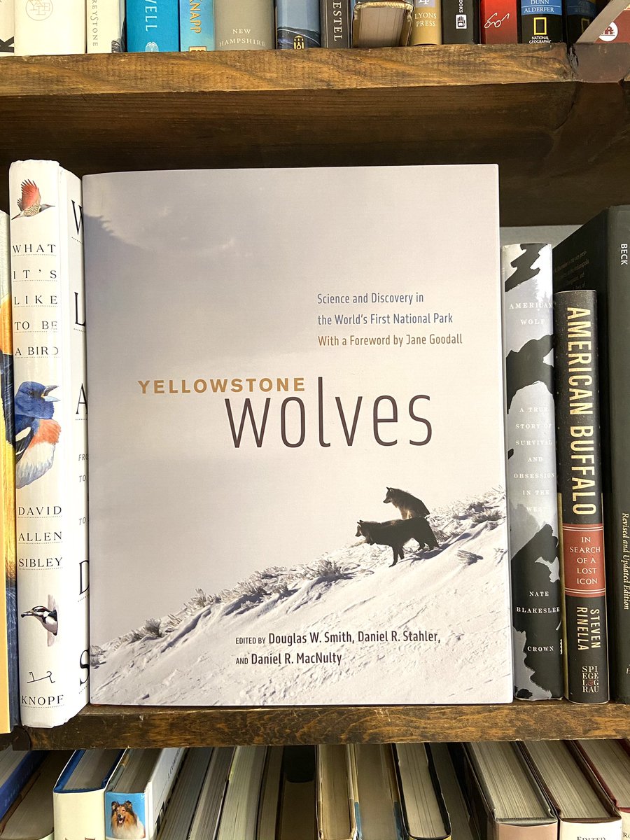 LandLibrary's tweet photo. NEW in Globeville: a fresh flurry of great books for the new year!
#LandLibrary https://t.co/sgBx1UIeQg