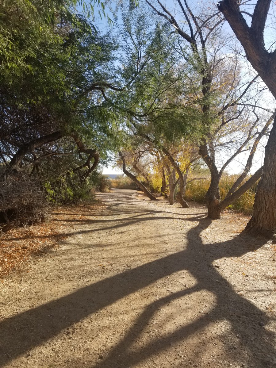 BeyondTucson's tweet photo. Last Saturday we went #BeyondIn2021 with our Sweetwater Wetlands walk!

You can celebrate our month of movement by walking, hiking, running, or riding on your own. Share your activity with us by tagging Beyond and using #BeyondIn2021 for a chance to win a prize! https://t.co/mXuAysrWSa