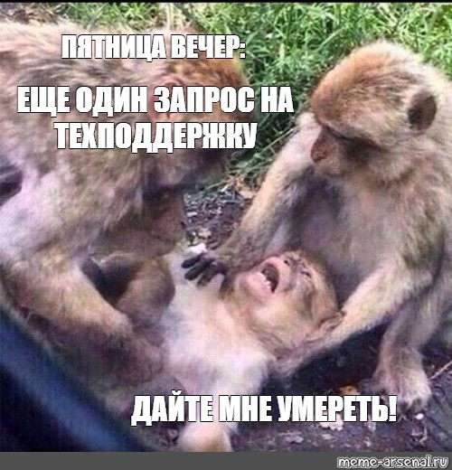 PureLogicRND's tweet photo. #purehumor https://t.co/dR48lIHI2h