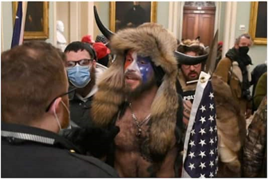 Does it perhaps seem like these elements were present in the Capitol Hill events? (Again putting aside whatever the individuals (think they) were motivated by).