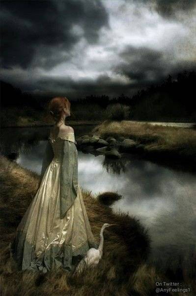 AnyFeelings1's tweet photo. if u want to know where ur heart is, look where ur mind goes when it wanders. https://t.co/fioXkYaGz3