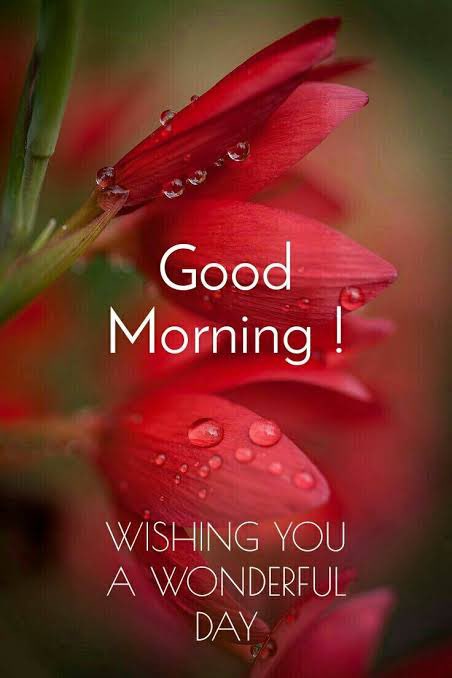 MouChakravorty's tweet photo. #Fridays teach you to believe that that good is always not so far! Much like the current times where we are possibly a step away from not-so-bad or #good times! Difficult to believe ? Letβs #Hope for #Positivity!!. #TGIF #WeekendKnocking Good morning folks ππ https://t.co/7vPjx8WxCR