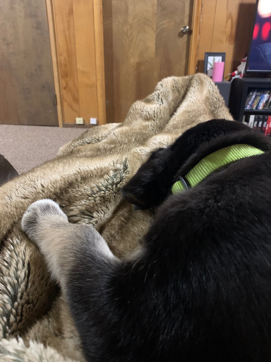 Kayleena07's tweet photo. Having a break down. Grad app due tomorrow. One professor hasn’t submitted. I might have a heart attack. He’s cute tho https://t.co/xz3f8wQPVE