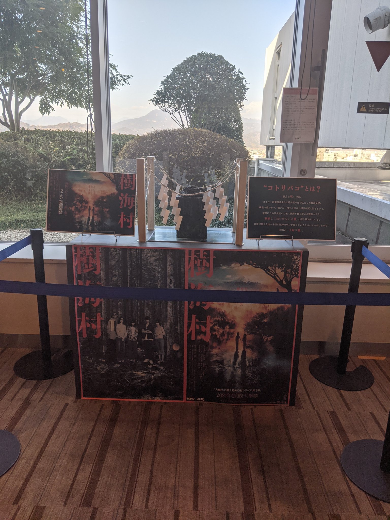 瑠香 コトリバコ 見て来ました 思ったよりも小さめな感じでした でも やっぱり見た瞬間は怖かったです 呪わないでください って 手もちゃんと合わせてきました 笑 でも コトリバコが見れたので 静岡県民で良かったです 樹海村 山田杏奈