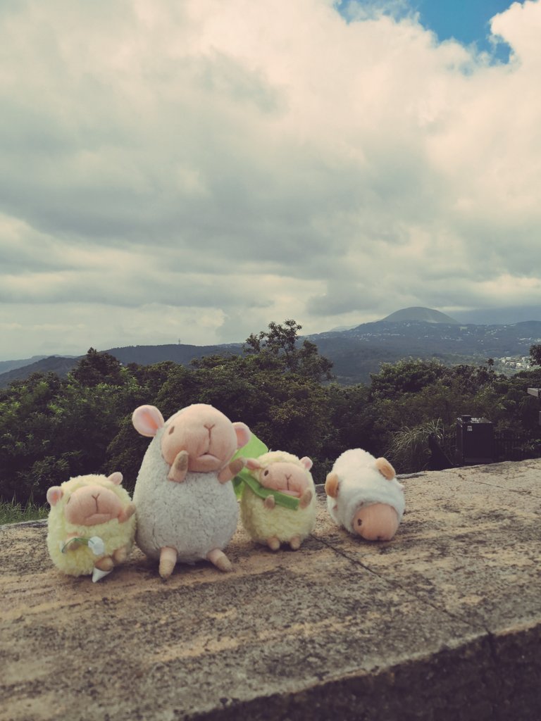 初代ひつじ 今日も頑張ろう ナチュレ復刻同盟 ぬい撮り ベイビーナチュレ