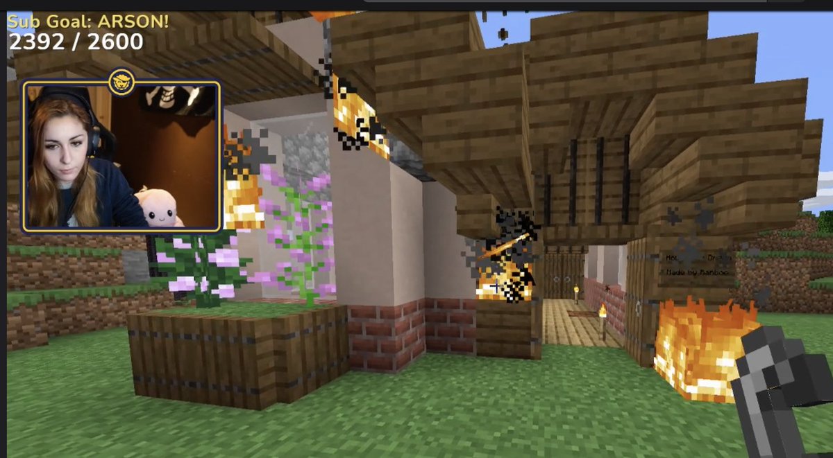 Puffy burns down the house she built for Dream