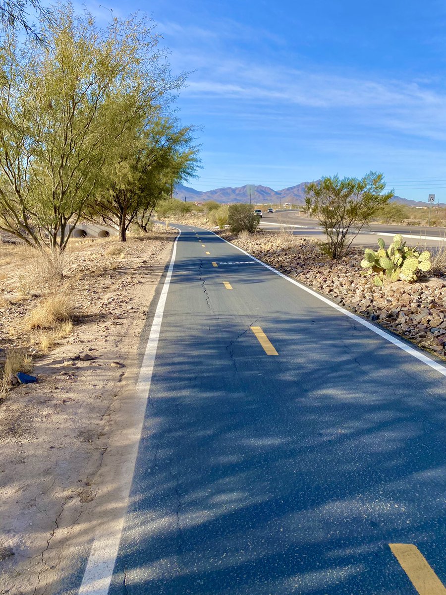 AllThingsInAZ's tweet image. Morning walk. #thisistucson #az  #thelooptucson  #gooutside #nature #cactus #hiketucson #walktucson
