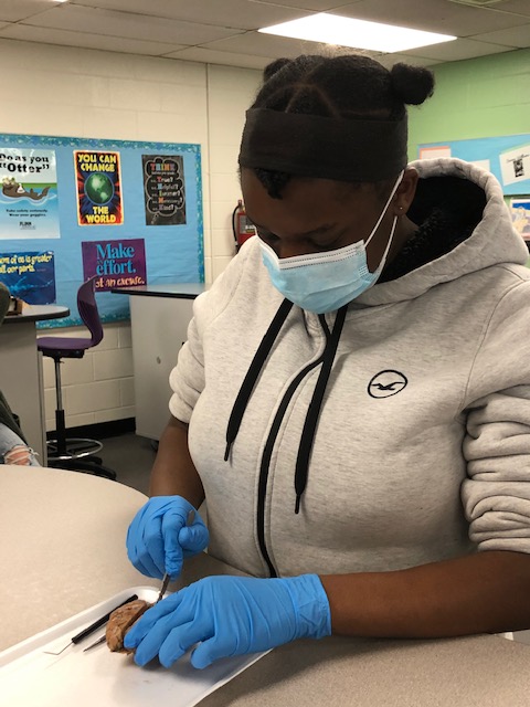 Keesha Ball tweet media