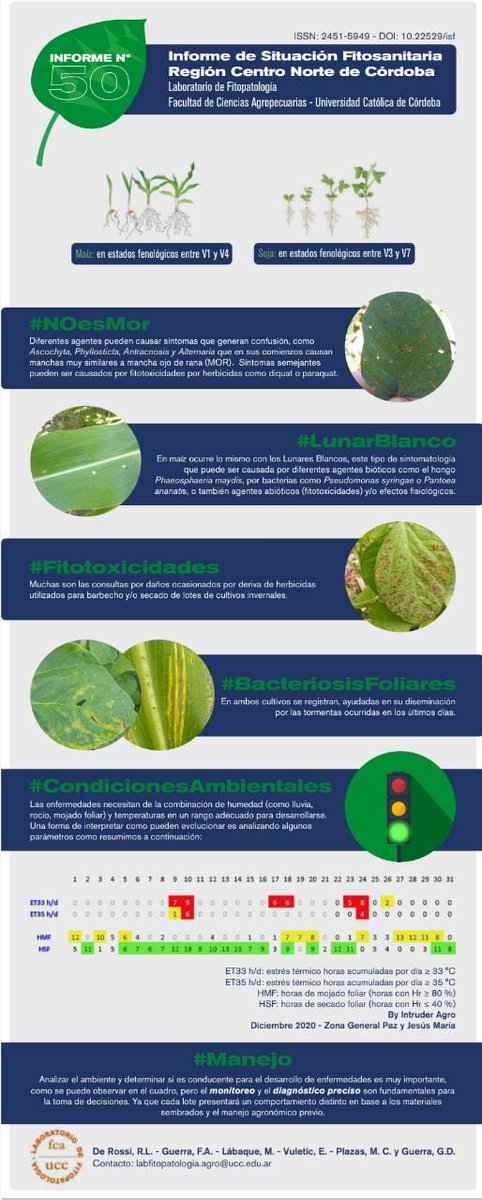 Roberto De Rossi tweet media