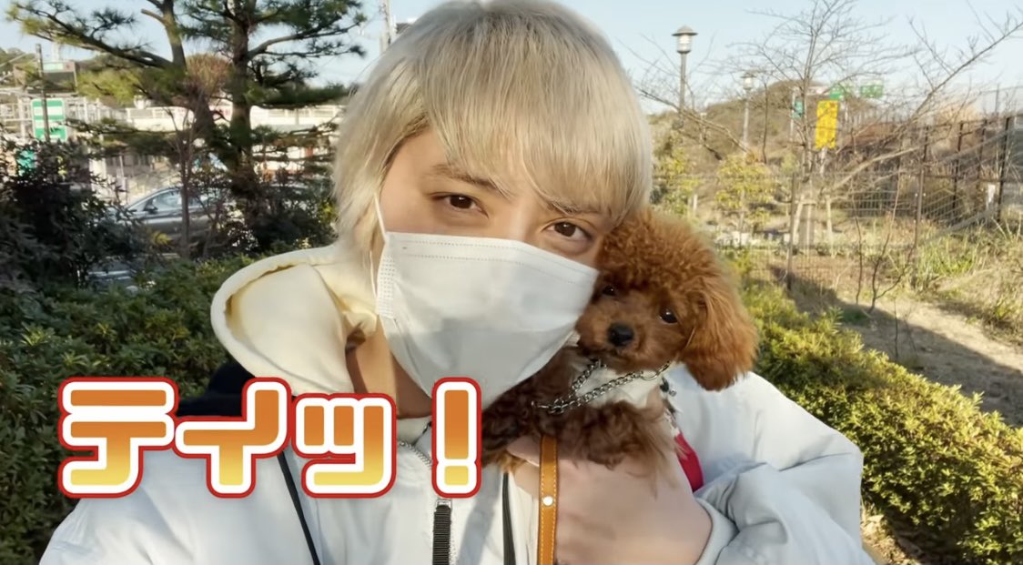 Chige 推し ワンコ 手越祐也 手越祐也チャンネル 手越くんファンと繋がりたい 犬好きと繋がりたい T Co Sqj43rull9 Twitter