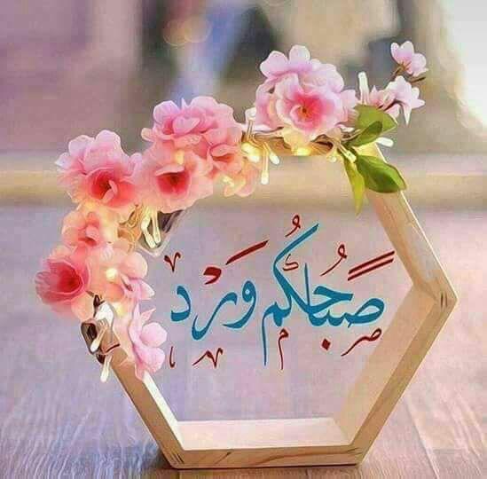 عمر (@apsachumymb2d40) on Twitter photo 