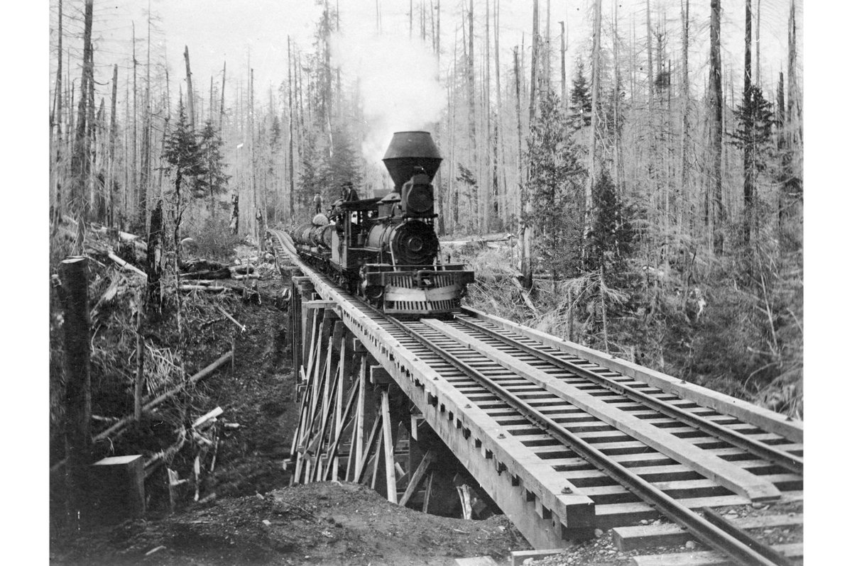 38. They scheduled a massive logging train to rumble past the president's lodge during his breakfast, a reminder of the jobs at stake.