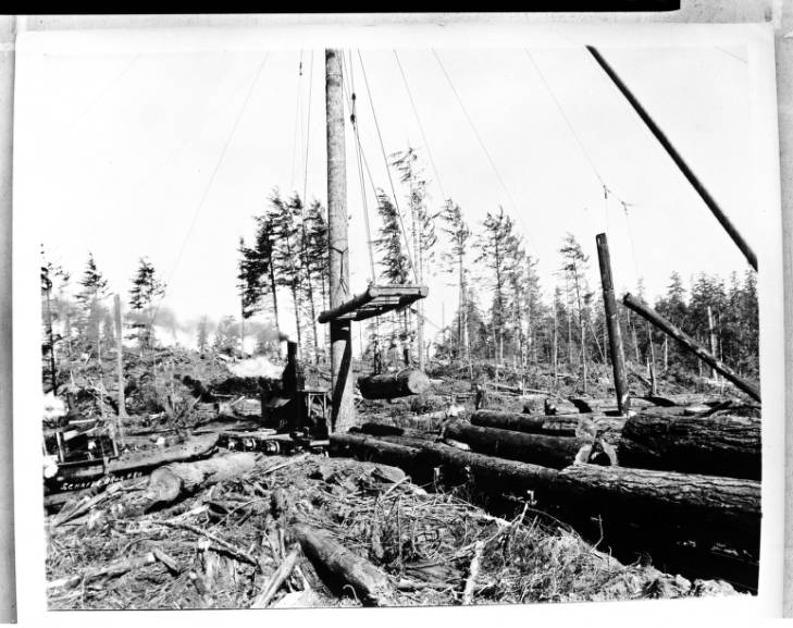 39. They moved a sign marking the national forest boundary, giving the impression that a heavily logged area, now several square miles of burned stumps, was not on Federal land.