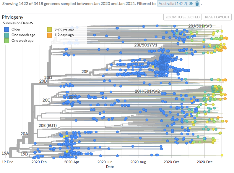 nextstrain's tweet photo. Thanks to #opendata sharing by @GISAID, we've updated https://t.co/SDPCOcJYEv with 1812 new #COVID19 #SARSCoV2 sequences!
Check out the new sequences from Australia (17) on https://t.co/ToVoJO0Gkb.
(Thanks to @NSWHPathology, #PathWest Laboratory Medicine, @WAHealth)
1/6 https://t.co/N7vbwUUOLq
