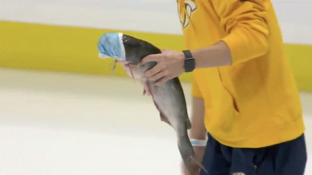 BarDown's tweet photo. A Predators fan threw a masked catfish on the ice prior to puck drop in Nashville 😂

MORE @ https://t.co/N30kNk0qHr https://t.co/hqsyG5Agtm