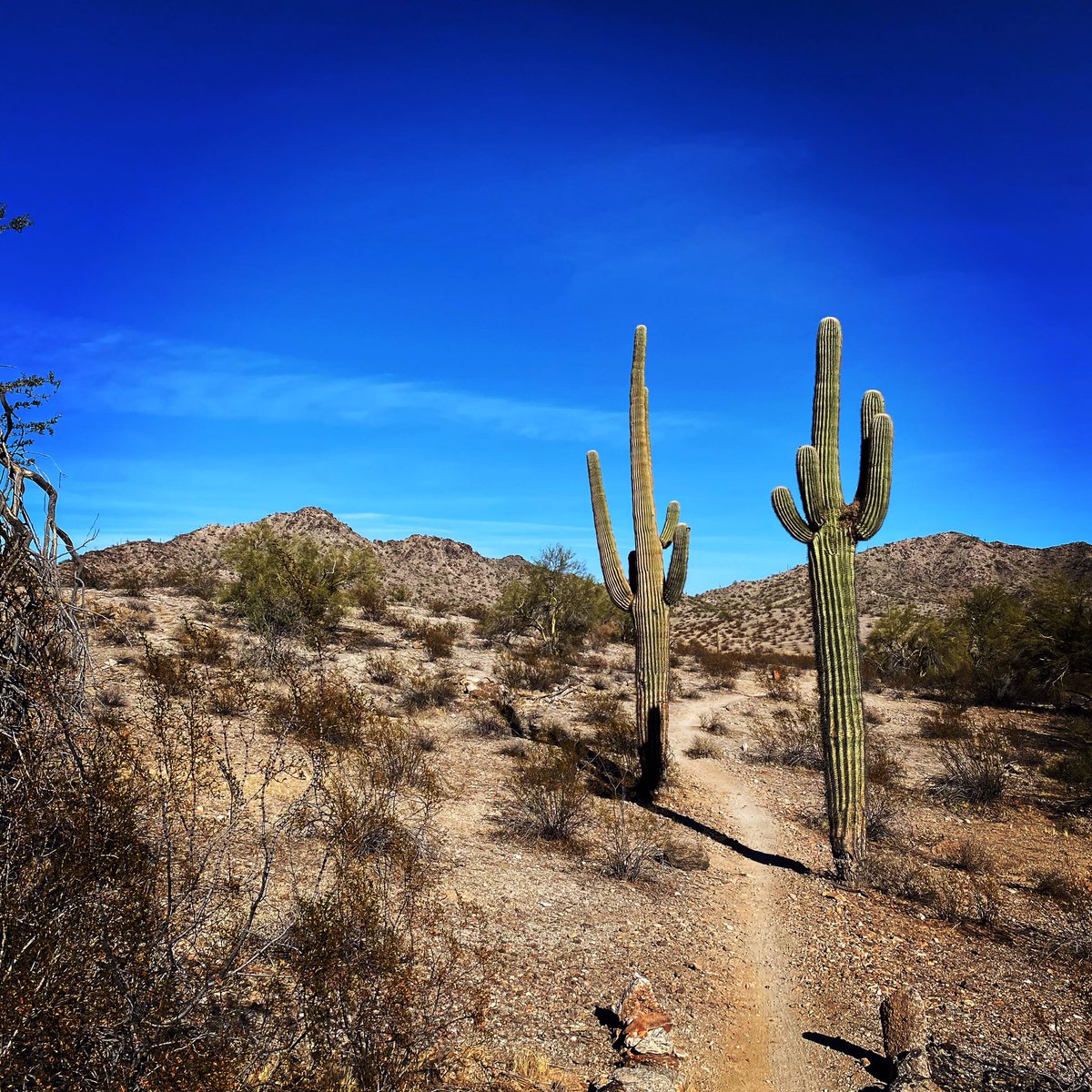 My favorite time of year in Arizona #Arizona #hiking #azhiking #az365 #azwx