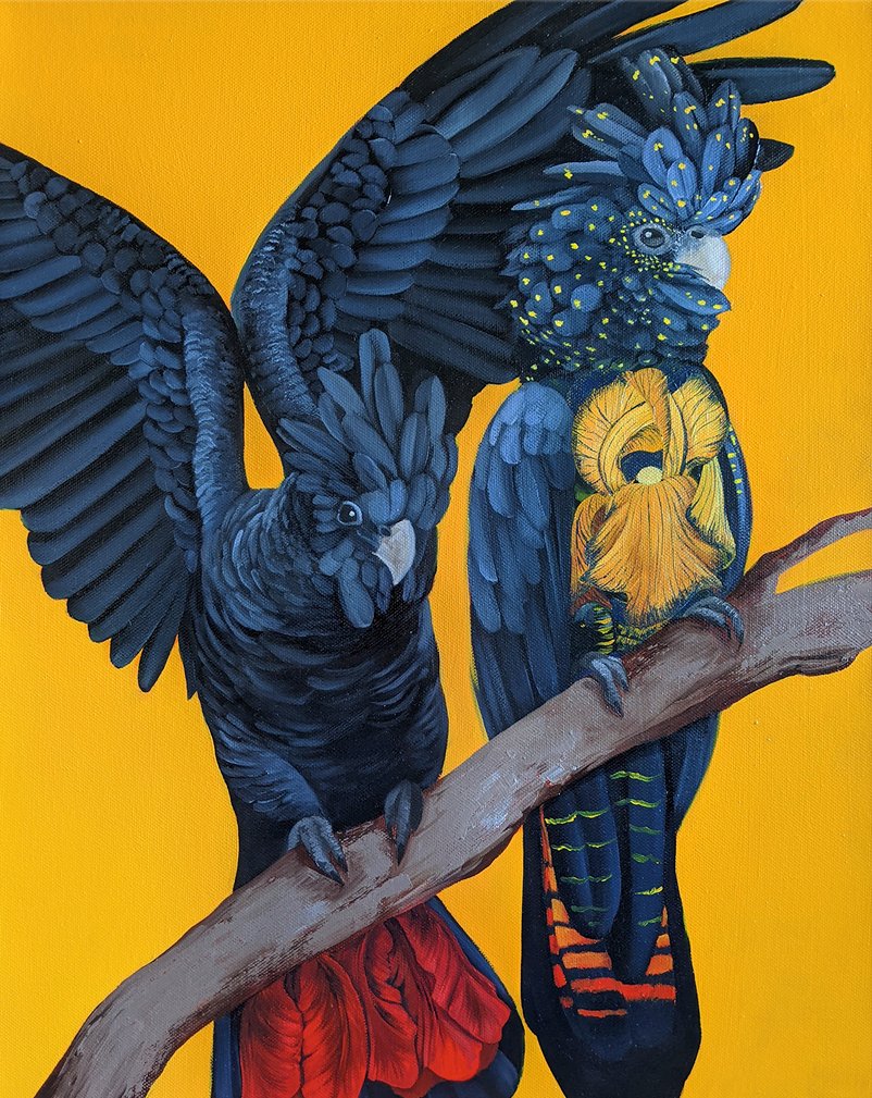 iammosessa's tweet photo. #PortfolioDay A day late, but hello! I'm Mosessa, oil painter from Australia. I mostly paint animals and blooms... here are my latest birb works! 🌻🌻 https://t.co/V6ShdxlBZ6
