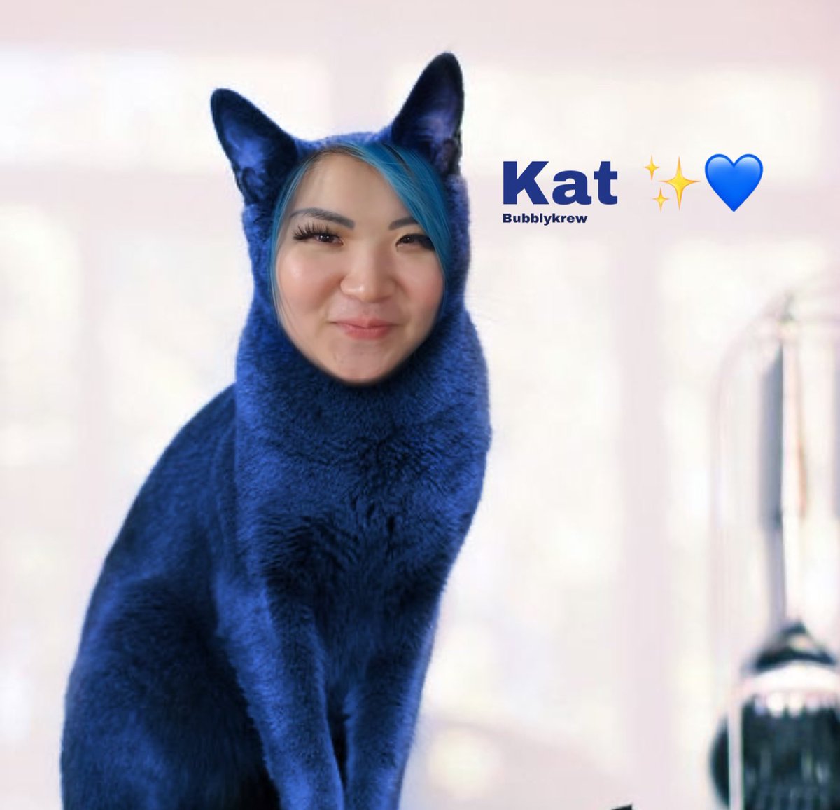 baldmanb0b's tweet photo. Kat the cat 🐈⬛
I have no idea what to put here
🏷 @ItsFunneh #katcat
(yes that’s now a # 😭)
-
-
- I’m not sure if anyone has ever done this before but i thought it would be fun and if anyone has I’m truly sorry ❤️ https://t.co/YNWZc46p7y