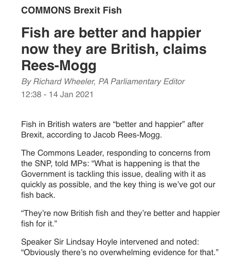 johnheffren007's tweet photo. Seriously I'm beginning to question the present negative situation of having our 1st class Democratically elected #SNPMPs continuing to sojourn on in WM facing Blatent Hostility lies & Disrespectful Infantile Insults by Arrogant Eng Nationalists like @Jacob_Rees_Mogg
#SaorAlba https://t.co/YG0SvpYndk