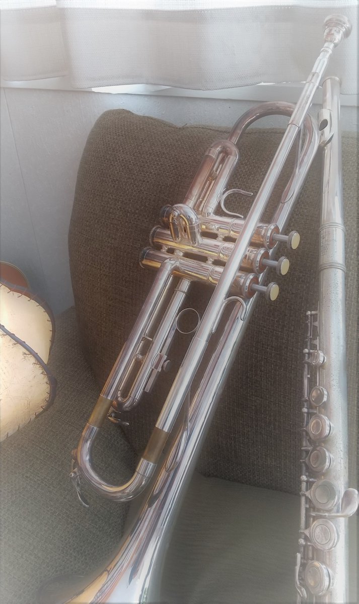 PIKORATA's tweet image. セッティング中の自分が　なんかハァハァしててAV監督みたいでした
#楽器ポルノ