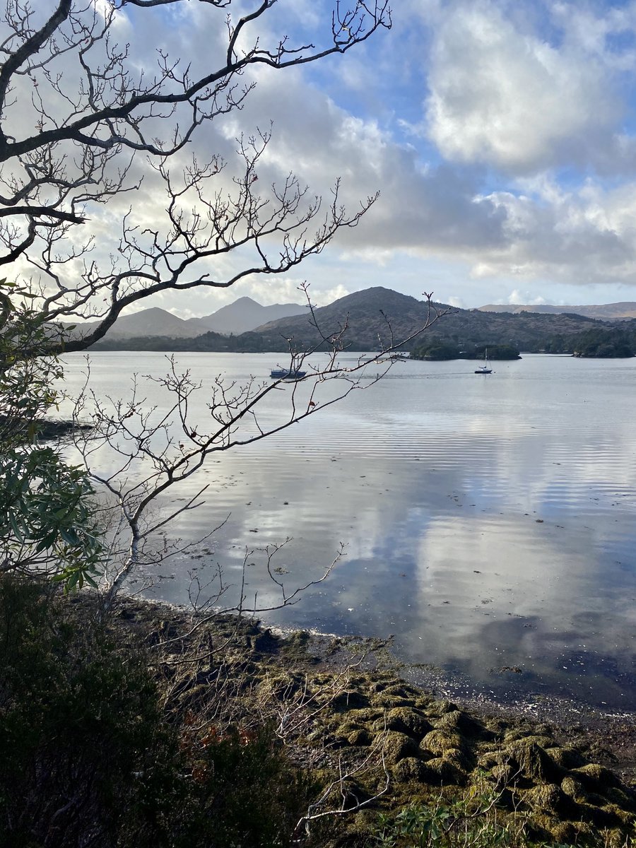 Winter in Glengarriff