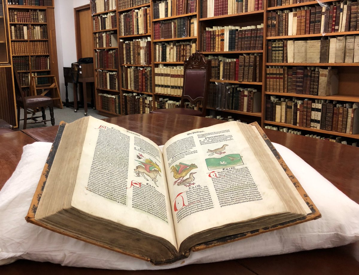 uomcollections's tweet image. Love working with collections and readers? Come join us and our extraordinary collections! We are looking for a Collections Management Coordinator and a Senior Client Service Officer. More details at: go.unimelb.edu.au/s4ji  and go.unimelb.edu.au/84ji